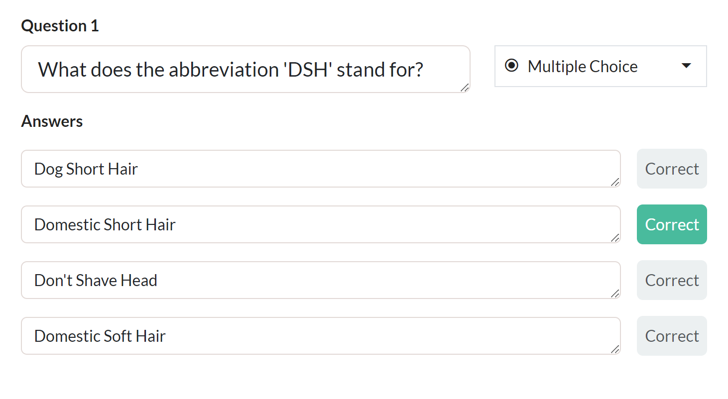 Quiz Creation Interface